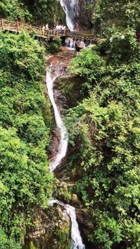 逃离阴森的岛屿